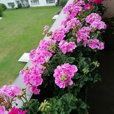 Zimmervermietung Berna