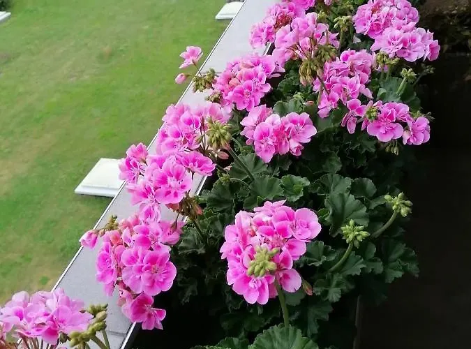 Zimmervermietung Berno