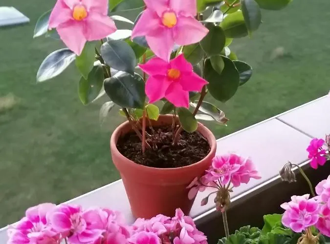 Zimmervermietung * Berno